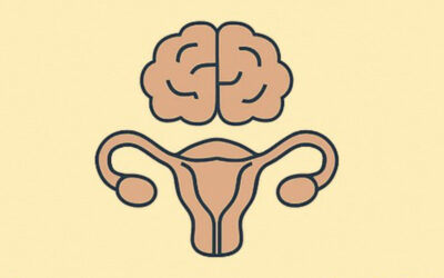 How Your Brain Controls Your Ovaries: A Hidden Key to Infertility and Acupuncture Success
